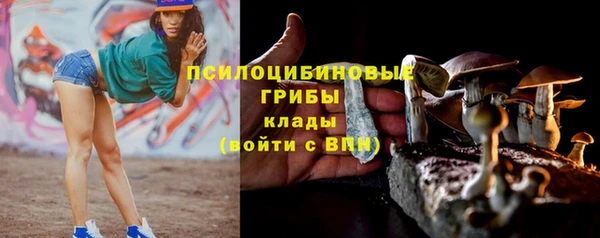 крисы Няндома
