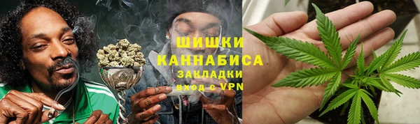 молекула духа Новодвинск