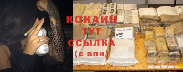 крисы Няндома