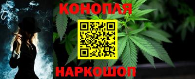 трава Бийск