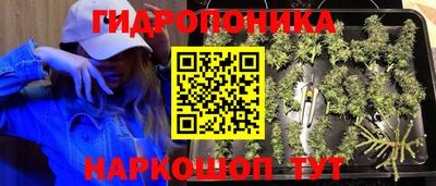 мдма Гатчина
