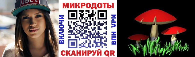 где найти наркотики  Мирный  Псилоцибиновые грибы Psilocybe 