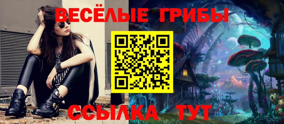 Псилоцибиновые грибы Psilocybe  Мирный 