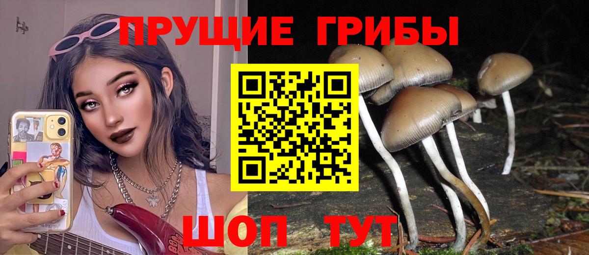 Галлюциногенные грибы MAGIC MUSHROOMS Мирный